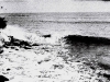 photo04_42