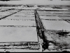 photo11_1