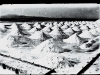 photo11_4