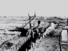 photo12_12