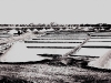 photo12_13