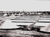 photo13_14