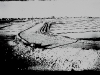 photo14_42
