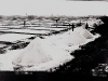 photo15_16