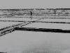 photo15_52