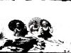 photo19_4