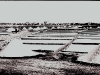 photo24_25