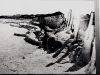 photo31_32