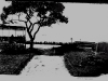 photo34_2