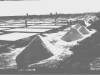 pomorie_solnici