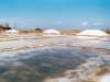 solnici_svetla
