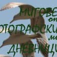 Фотографът Иван Евтимов ще представи своята изложба „Мигове...
